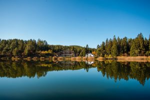 En helg för familjen